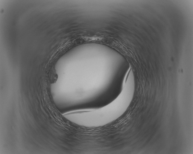 X0000083011393200702161539