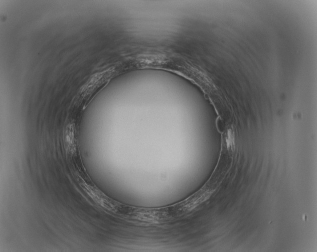 X0000083011396200702161539