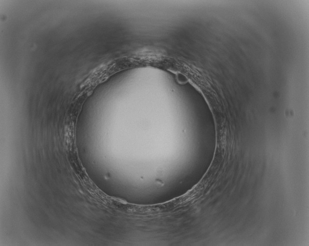 X0000083011397200702161539