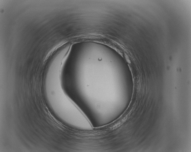 X0000083011402200702161539