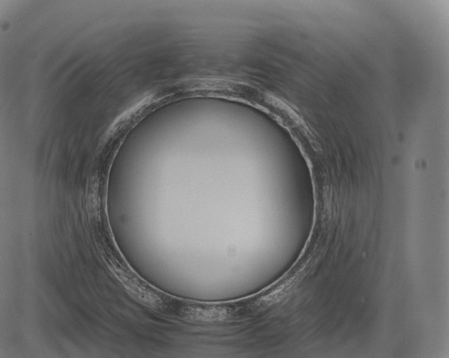 X0000083011403200702161539