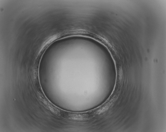 X0000083011405200702161540