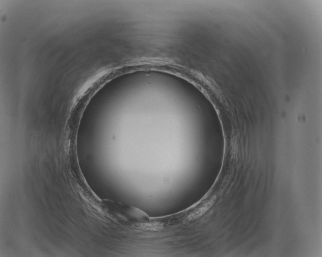 X0000083011406200702161540