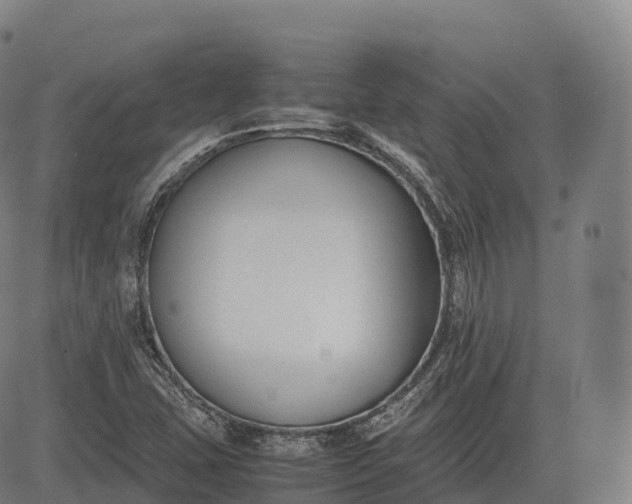 X0000083011407200702161540