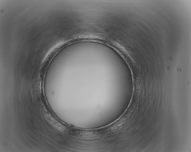 X0000083011408200702161540