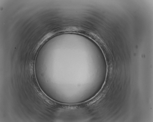 X0000083011409200702161540