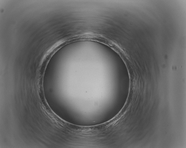 X0000083011410200702161540