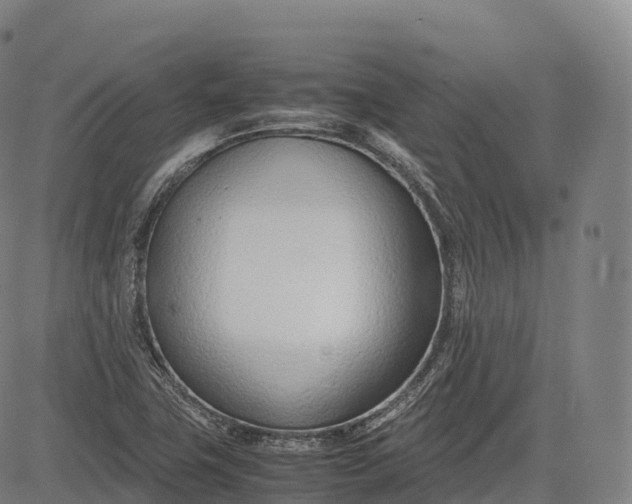 X0000083011411200702161540