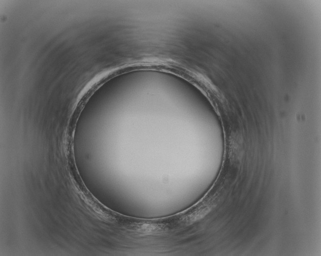 X0000083011412200702161540