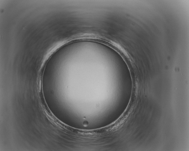 X0000083011413200702161540