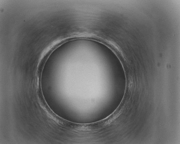 X0000083011414200702161540