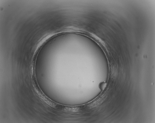 X0000083011415200702161540