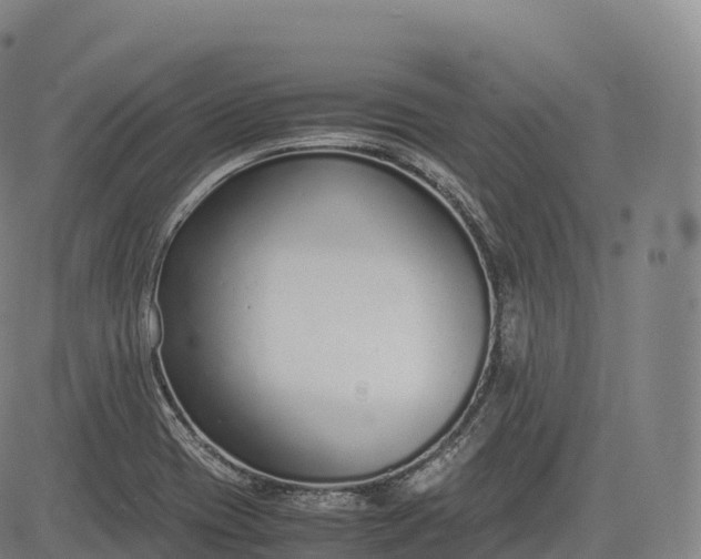 X0000083011417200702161540