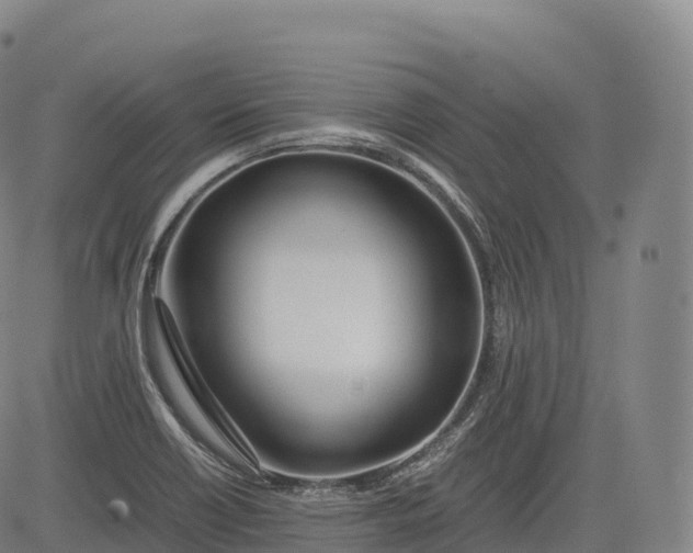 X0000083011418200702161540