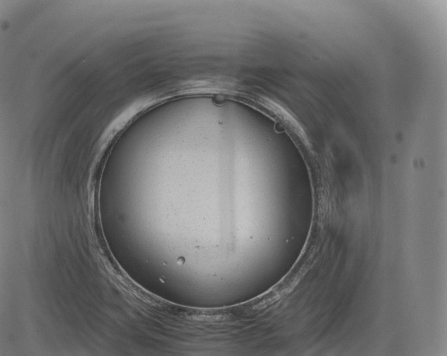 X0000083011419200702161540