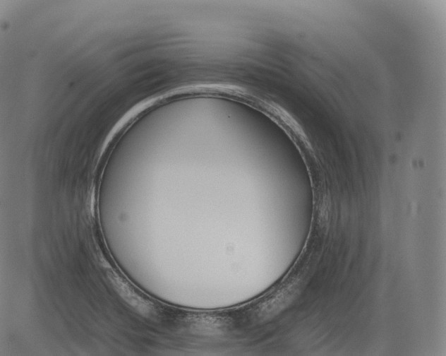 X0000083011420200702161540