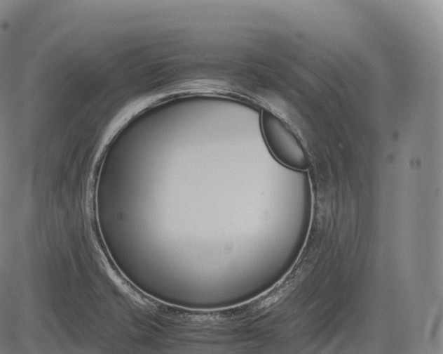 X0000083011421200702161540