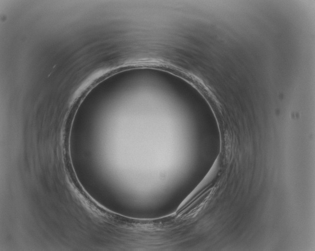 X0000083011422200702161540