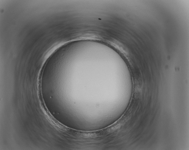 X0000083011423200702161540