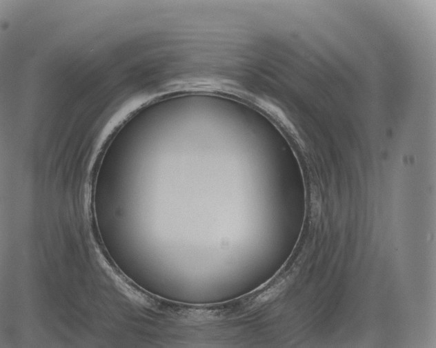 X0000083011424200702161540