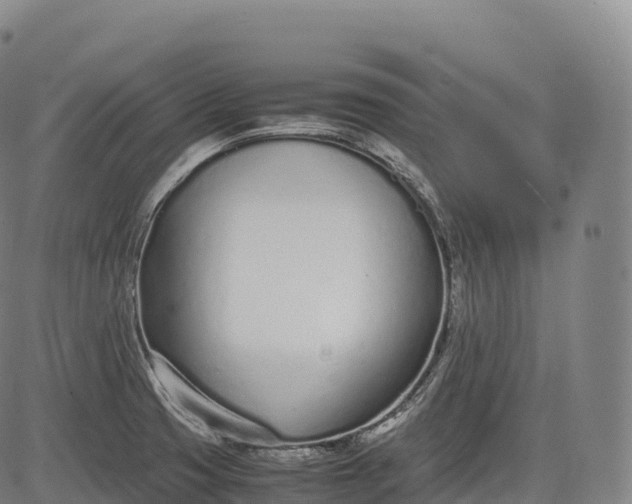 X0000083011425200702161540