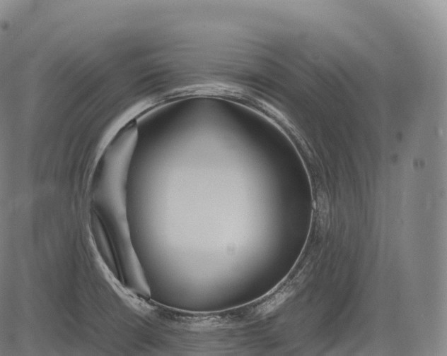 X0000083011426200702161540