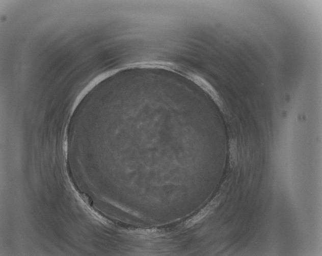 X0000083011428200702161540