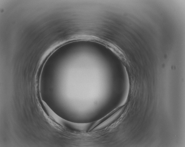 X0000083011430200702161540