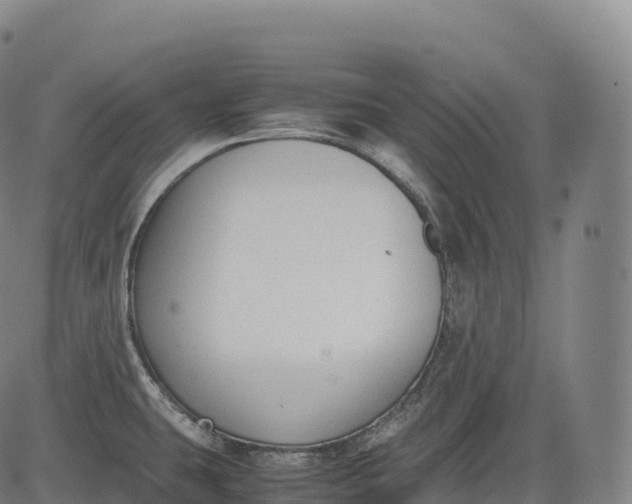 X0000083011431200702161540