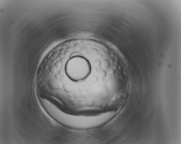 X0000083011432200702161540