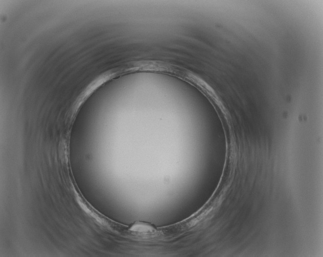 X0000083011433200702161540