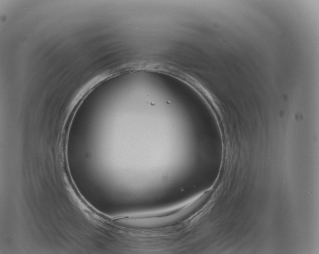 X0000083011434200702161540