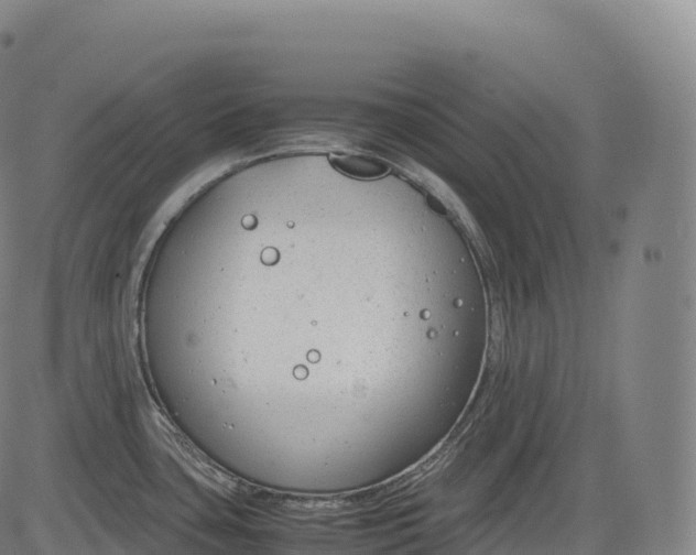 X0000083011435200702161540