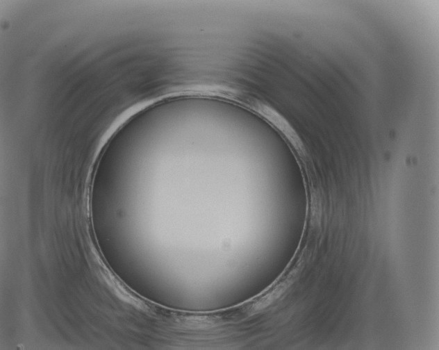 X0000083011436200702161540