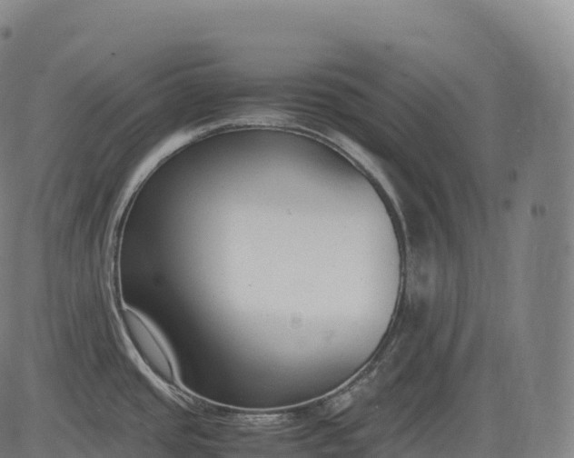 X0000083011437200702161540