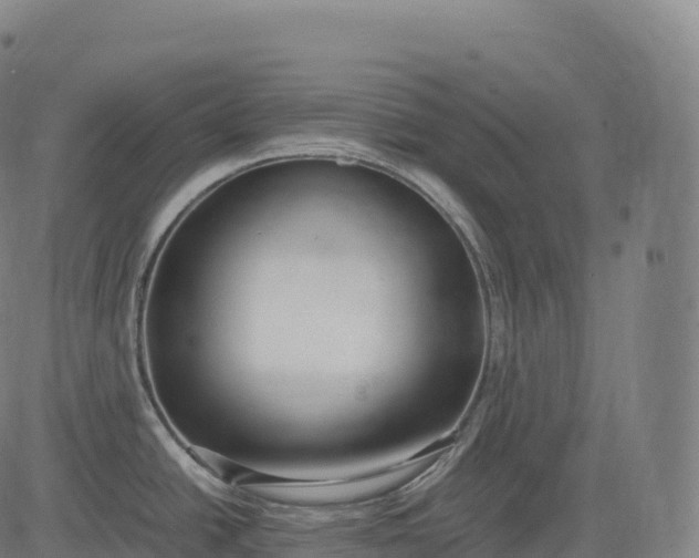 X0000083011438200702161540