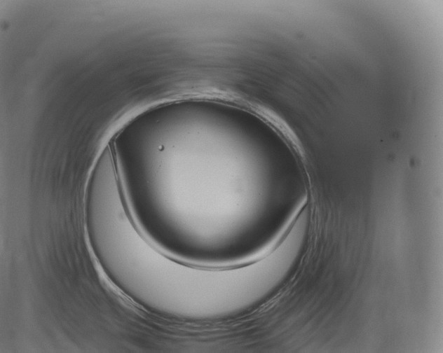 X0000083011439200702161540