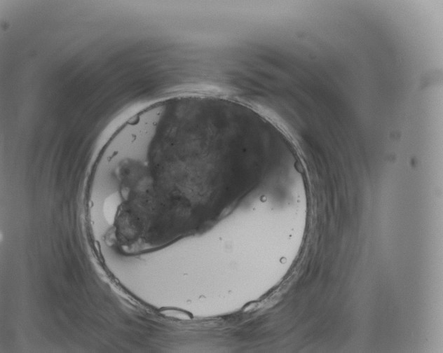 X0000083011440200702161540