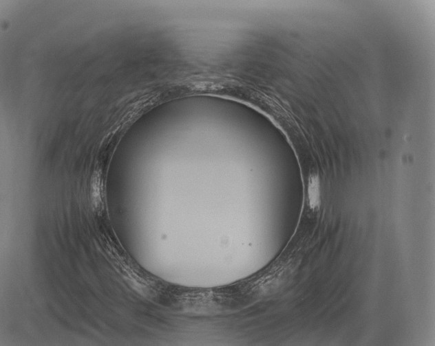 X0000083011444200702161539