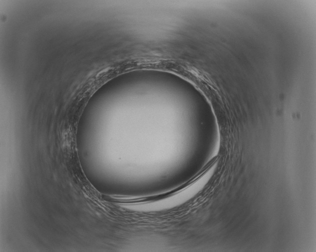 X0000083011445200702161539