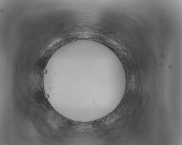 X0000083011446200702161539