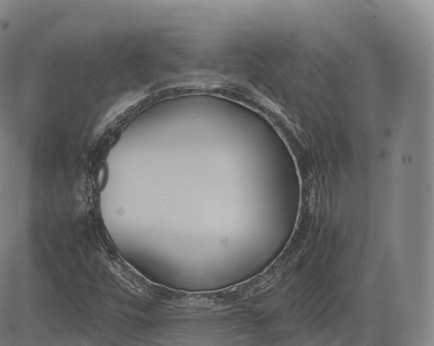 X0000083011448200702161539