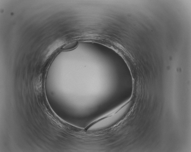 X0000083011450200702161539