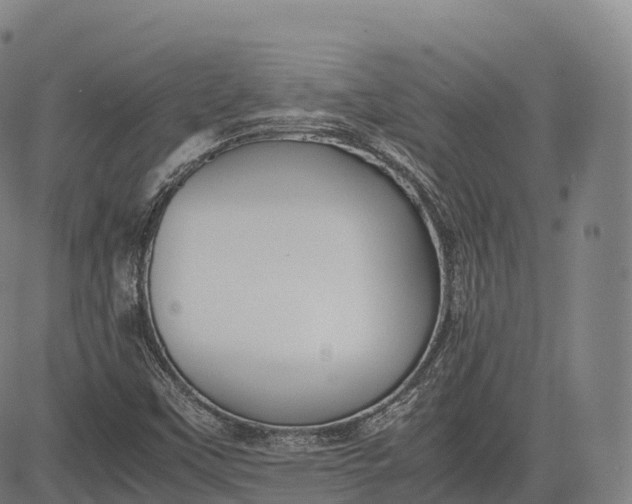 X0000083011451200702161539