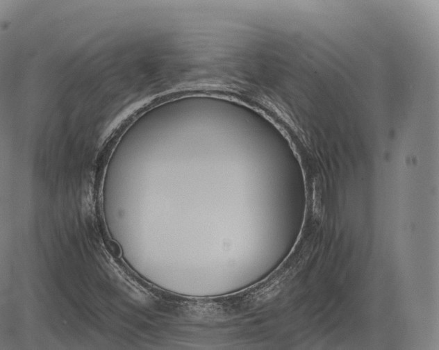 X0000083011452200702161539