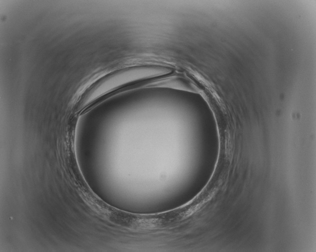 X0000083011453200702161539