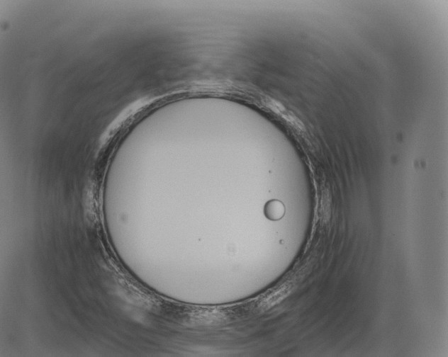 X0000083011454200702161539