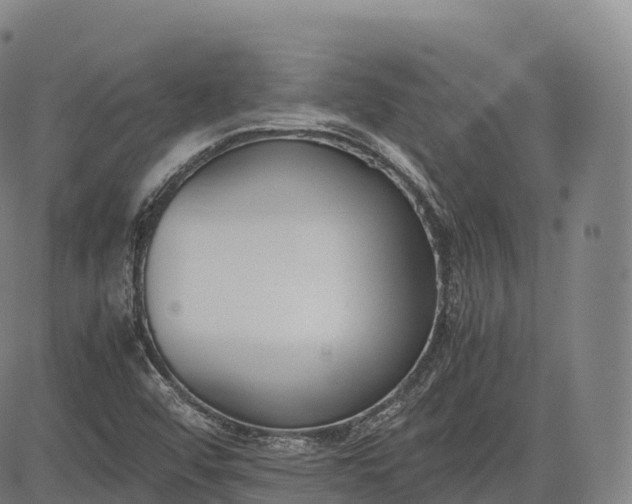 X0000083011456200702161539