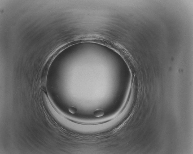 X0000083011457200702161539