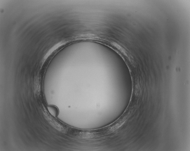 X0000083011458200702161539